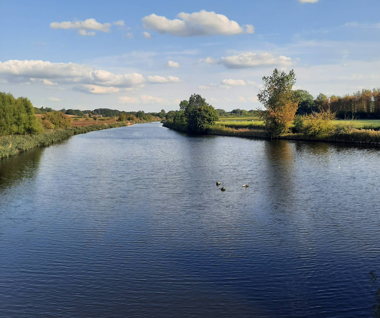 River Weaver Fur n Feather
